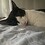 DancingCats