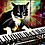 DoomCat